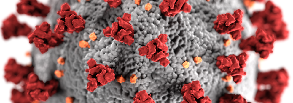 A CDC computer rendering of the surface of the COVID-19 Virus