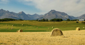 2025 Guide to Government Benefits in Western Canada